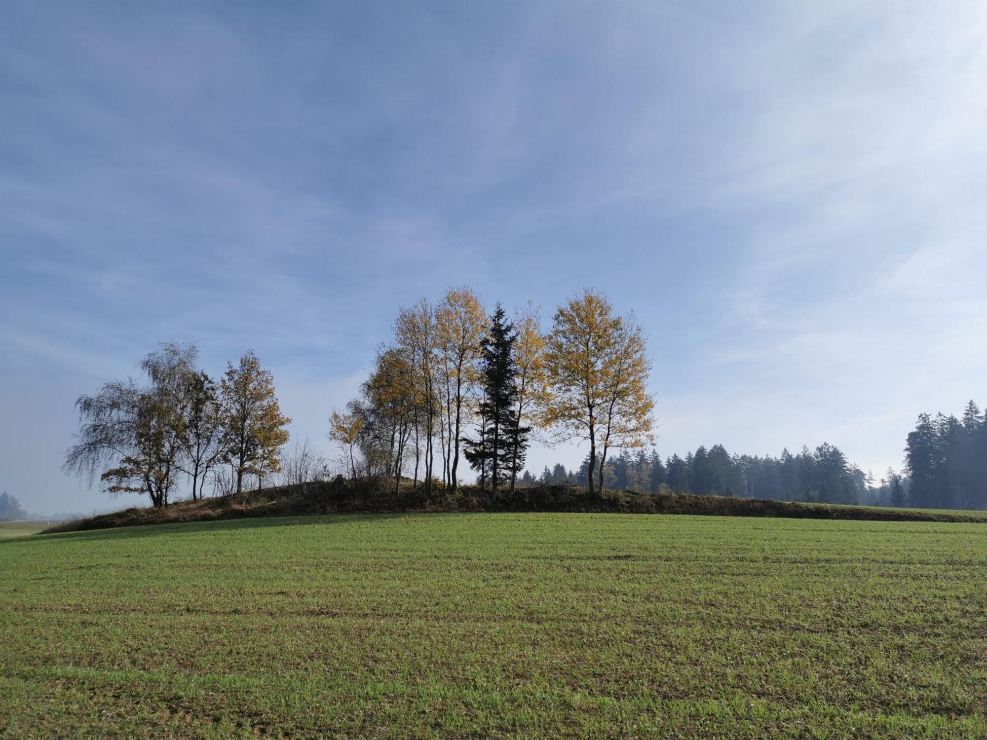 Kindererlebnis- Und Biobauernhof Hipp-Bruckner Wornharts Exterior photo